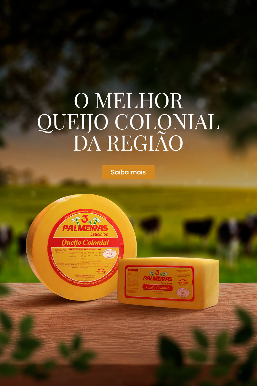 o-melhor-queijo-colonial