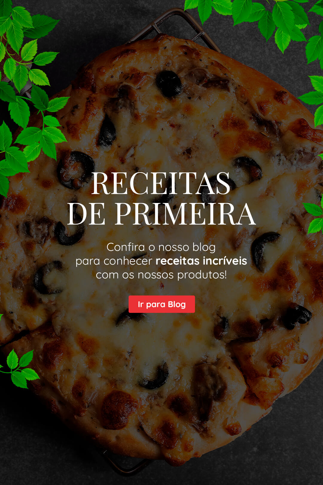 receitas-de-primeira